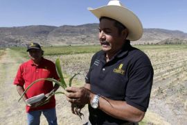 The Mexican countryside has suffered under the free trade agreement with the US [Reuters]
