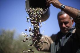 Some 50 percent of Palestinian households are suffering from food insecurity. [Reuters]