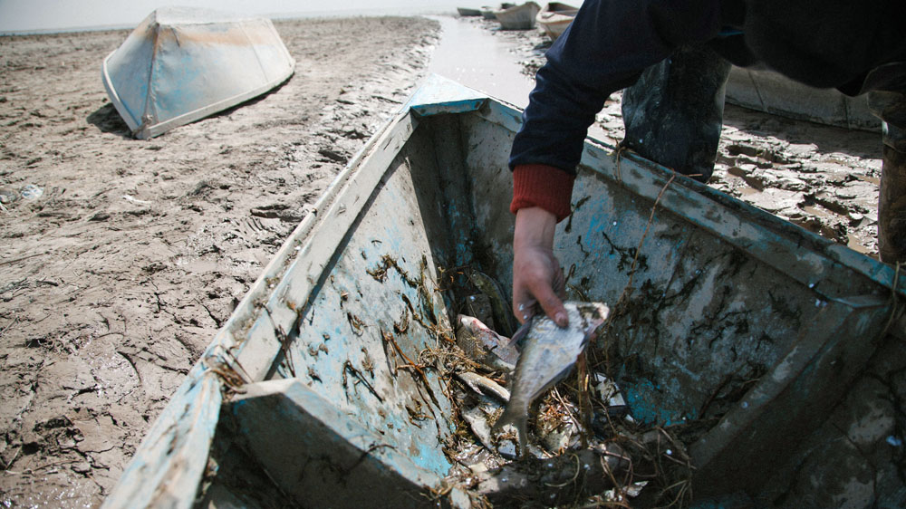 A fisherman gets his catch out of the boat in the Sarybas, a former Aral Sea bay [Timur Karpov/Al Jazeera]
