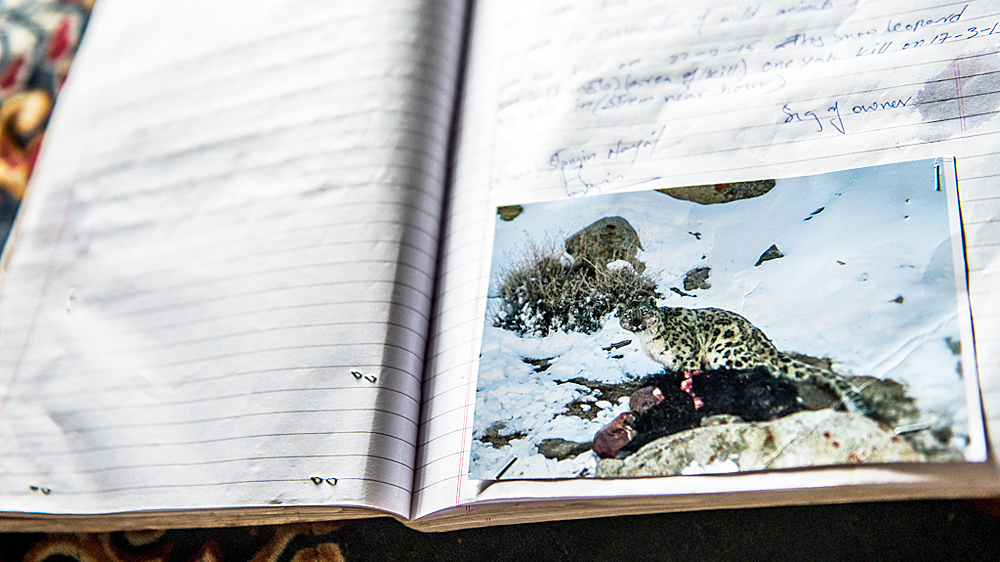 Villagers document cases of snow leopard attacks in order to recover losses from the insurance schemes which offer protection against such losses. [Felix Gaedtke/NowHere Media /Al Jazeera]