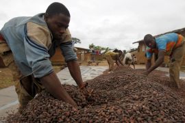 Workers drying cocoa beans in the village of Goin Debe