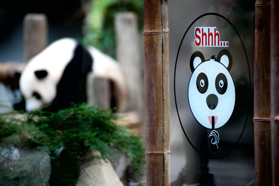 Saving China’s Pandas/Please Do Not Use