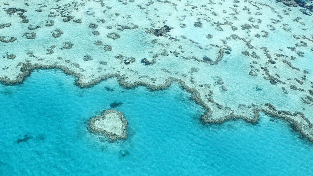 Heart Reef, in the Great Barrier Reef of the Whitsundays, is named as such because coral naturally formed into the shape of a heart [Sandy Herd/Al Jazeera]