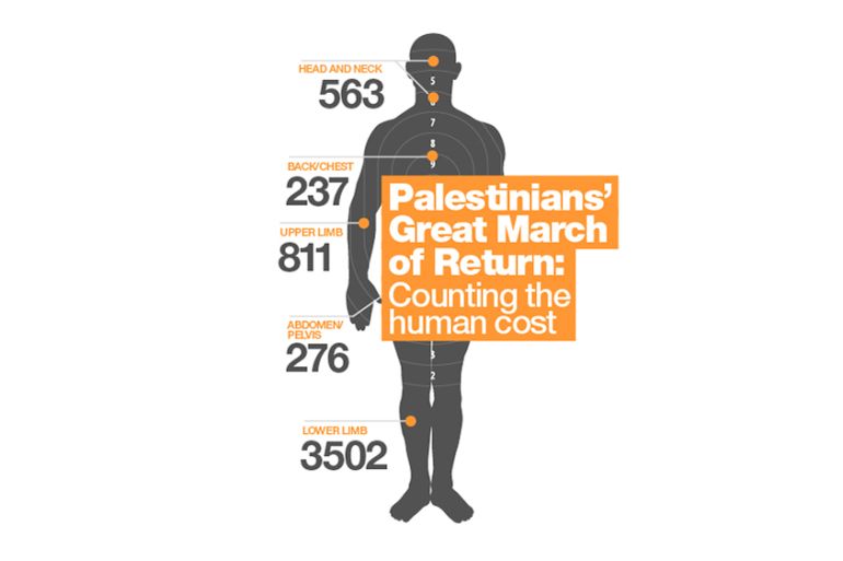 OUTSIDE IMAGE: Palestine infographic