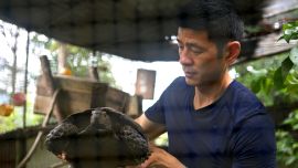 Steve Chao and ploughshare tortoise