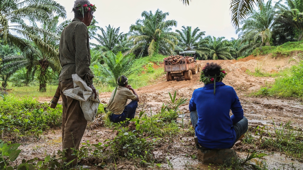 Orang Asli witness a truck full of oil palm fruits struggling to drive up the hill [Drew Ambrose/Contrast]