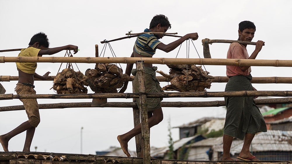Rohingya men in the Balukhali camp carry firewood for cooking [Sorin Furcoi/Al Jazeera] 