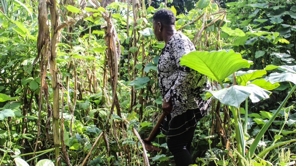 Janet Obi, a businesswoman before the conflict started, now works on farms to feed her family [Linus Unah/Al Jazeera]