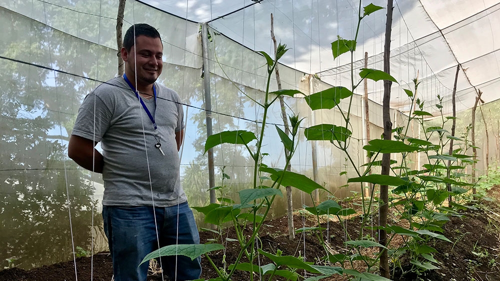 Canasta Campesina Vice President Marvin Molina stands in a greenhouse where a member of the cooperative produces vegetables for the farm basket initiative [Heather Gies/Al Jazeera]