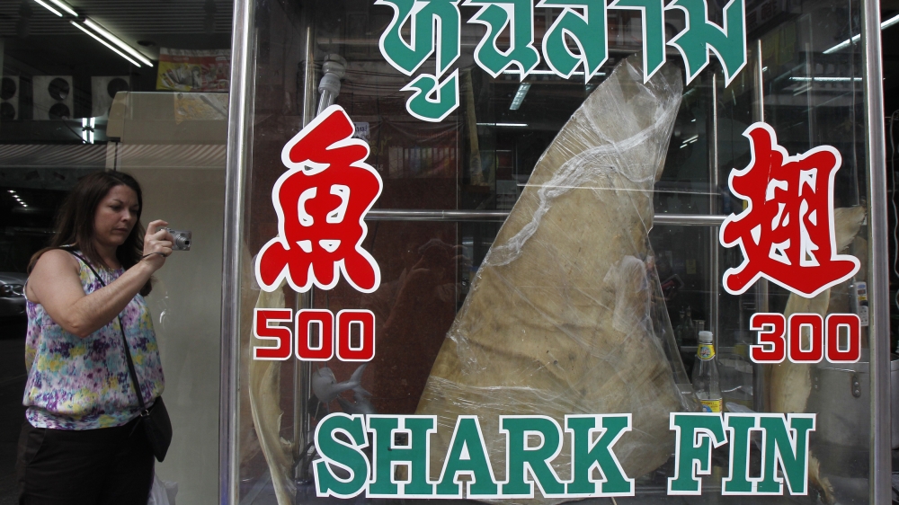 Consumption of shark fin soup doubled in China between 1985 and 2001 [Chaiwat Subprasom/Reuters]