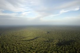 Amazon forest Reuters