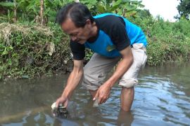 Indonesian village cleans waterways