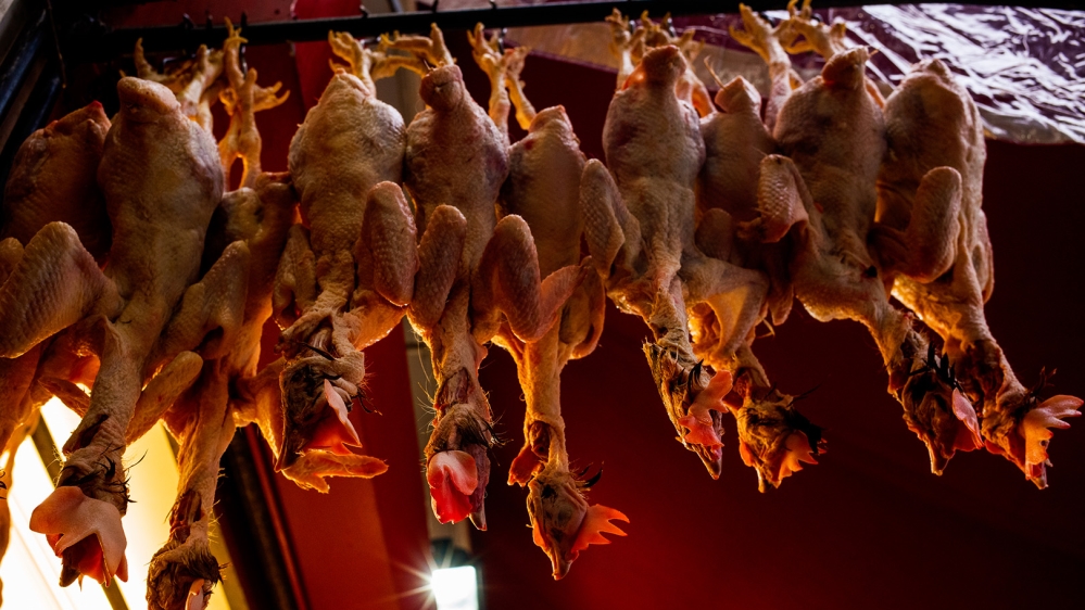 Chickens hang from a butcher’s shop on Ridley Road [Jose Sarmento Matos/Al Jazeera]
