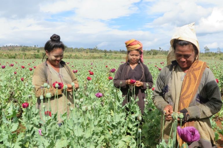 Myanmar opium