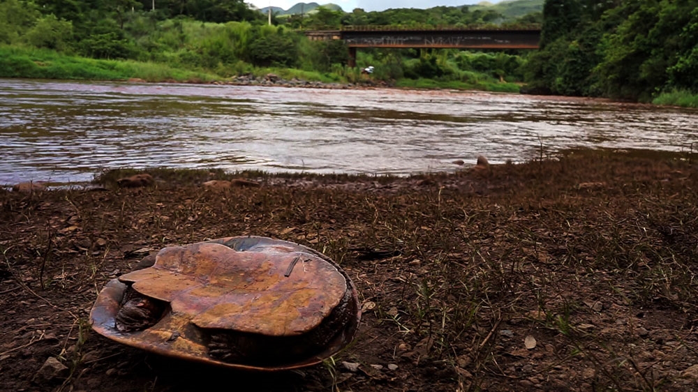 Officials have found dead fish, snakes, rodents, cows, chickens and pets in the river [Mia Alberti/Al Jazeera]
