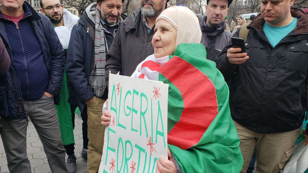 Critics say Algerian authorities have failed to institute reforms needed to diversify the economy [Al Jazeera]