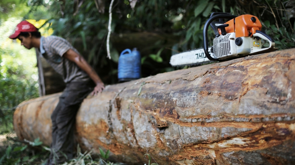 A man, who was hired by loggers to cut trees from the Amazon rainforest, sits on a tree next to his chainsaw in Jamanxim National Park, near the city of Novo Progresso, Para State, Brazil, 2013