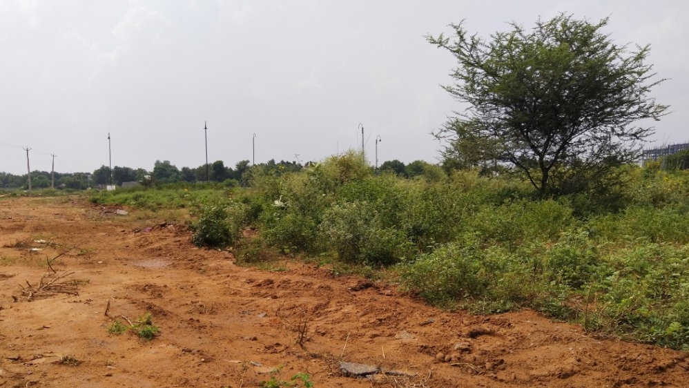 India land degradation Rohit Inani 3