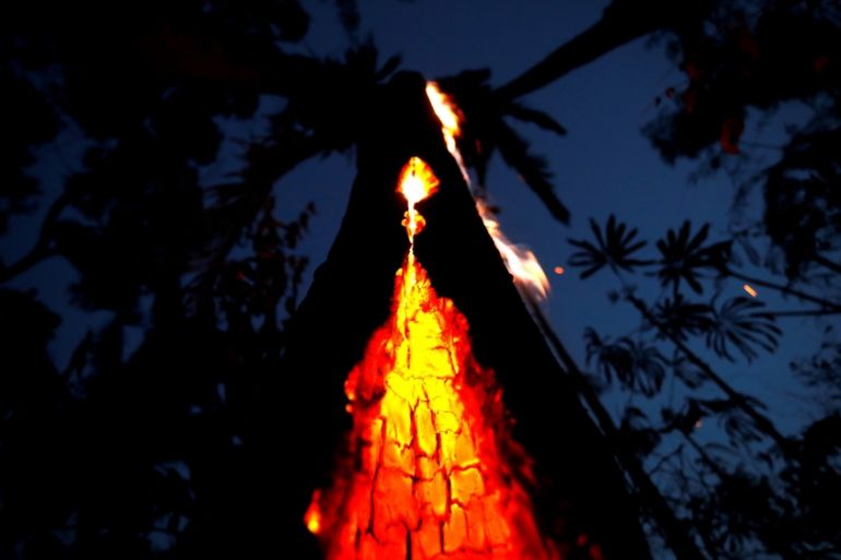 A burning tree is seen during a fire in an area of the Amazon rainforest in Itapua do Oeste, Rondonia State, Brazil, September 11, 2019. Picture taken September 11, 2019