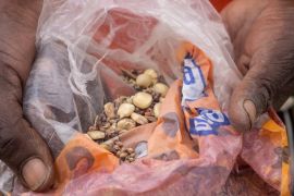 Zimbabwe food scarcity story
