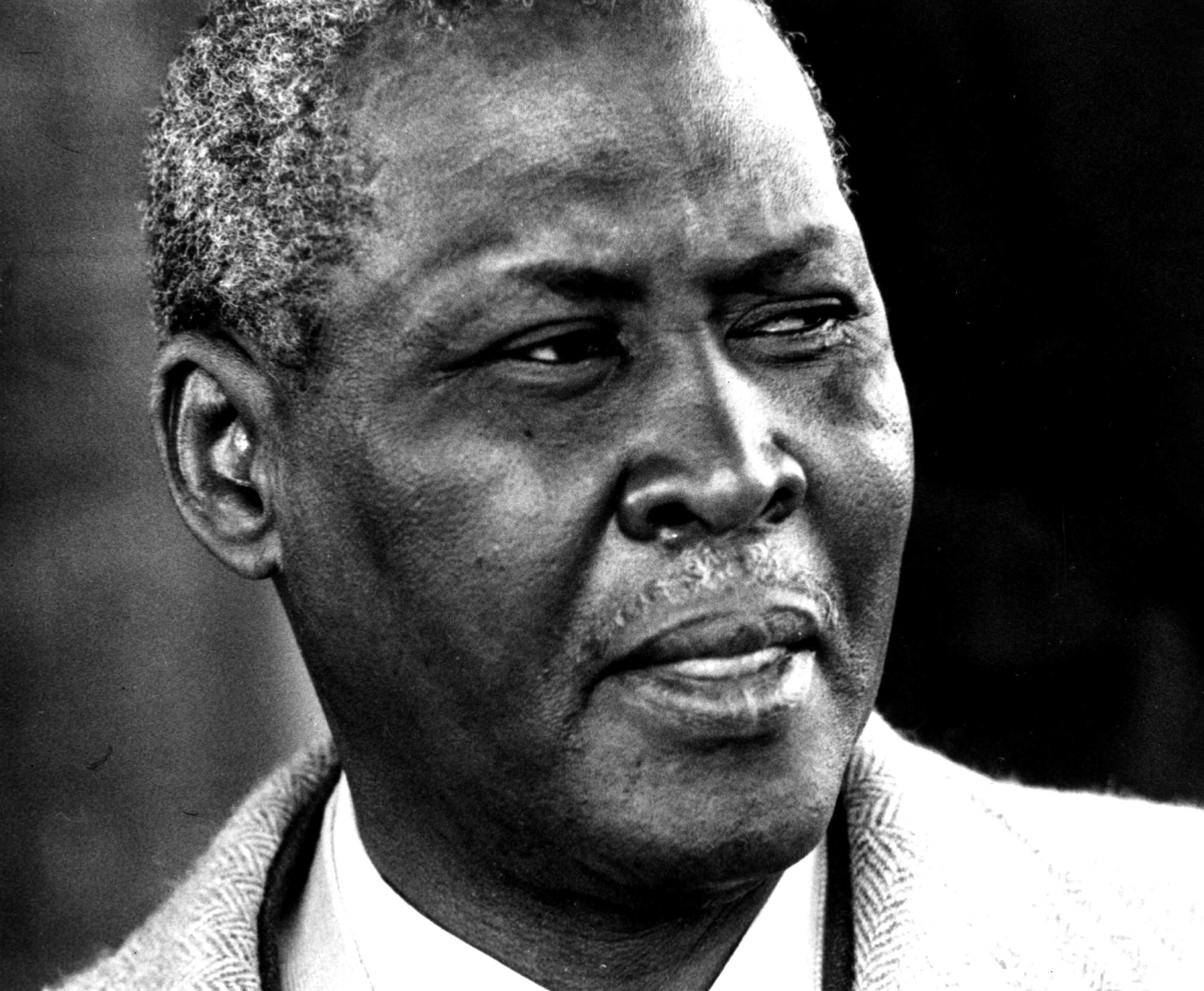 Luthuli: 'The award is a democratic declaration of solidarity with those who fight to widen the area of liberty in my part of the world' [File: Getty Images]