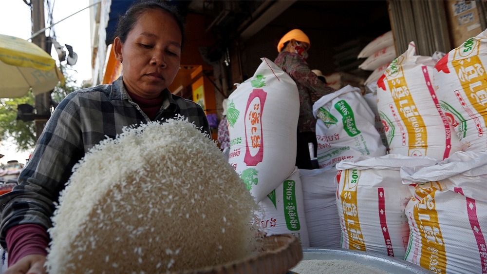 Cambodia rice