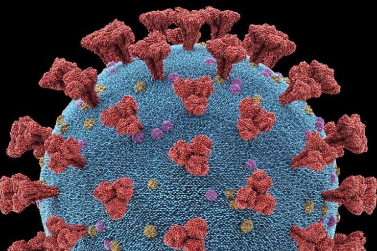 Coronavirus particle illustration