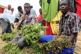 Somali vendors sell khat, a mild stimulant narcotic leaf, at an open air market in southern Mogadishu''s Hodan district