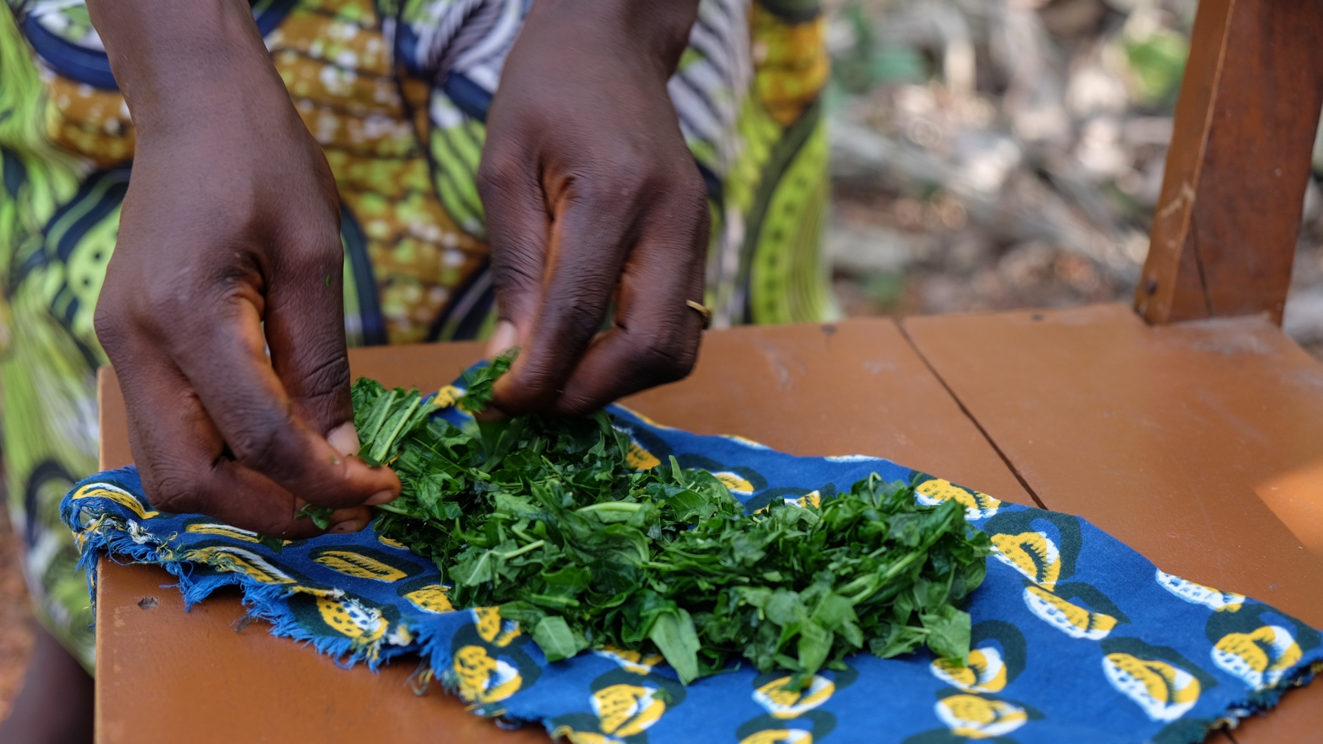 Feature - Sierra Leone traditional healers