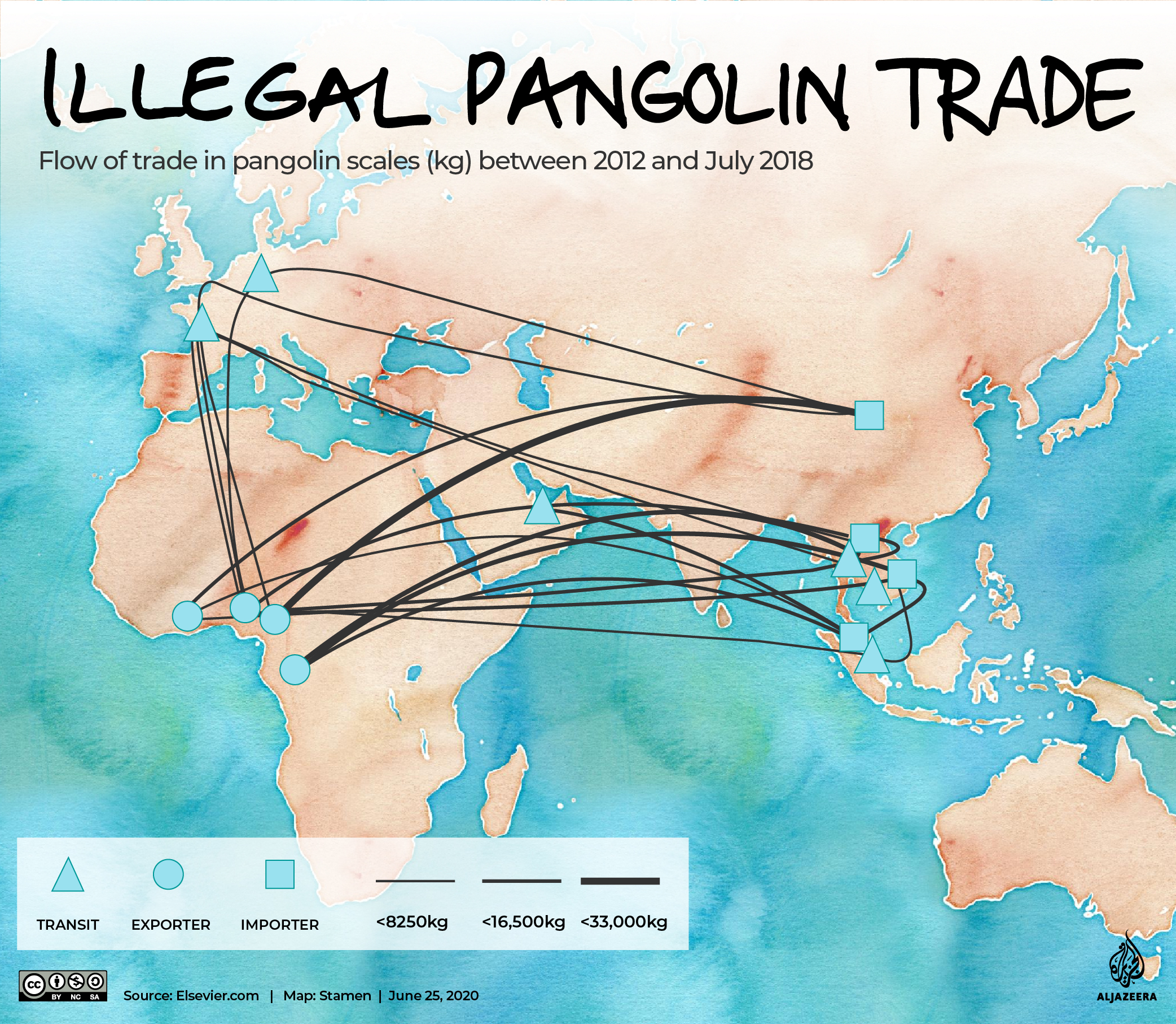INTERACTIVE: The Green Read - pangolins and poaching
