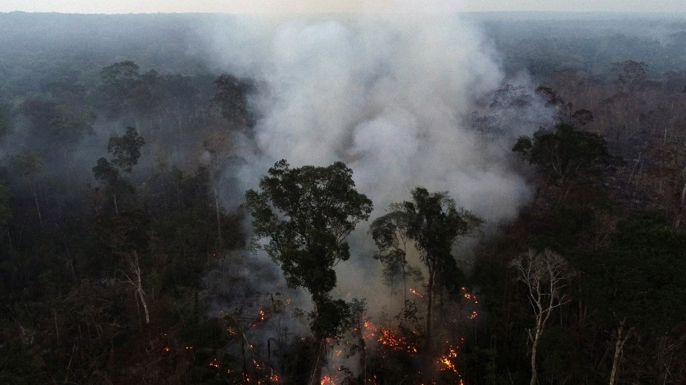 Brazil Amazon rainforest wildfires