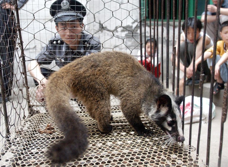 A civet cat in a chicken wire cage watched over by a Chinese policeman after the animal was identified as a possible vector for the SARS virus in 2003