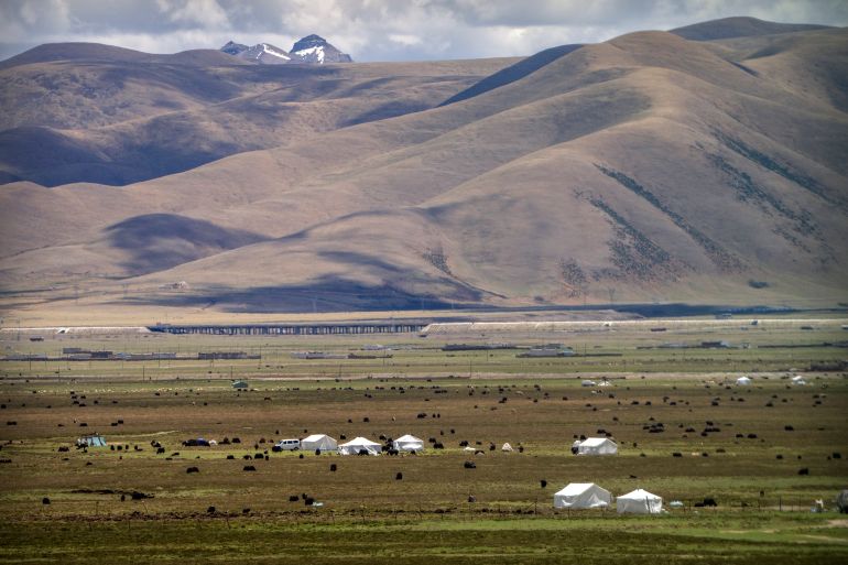 Yaks graze around tents set up for herders to live in the during the summer grazing season on grasslands near Lhasa in western China's Tibet Autonomous Region, as seen during a rare government-led tour of the region for foreign journalists, Wednesday, June 2, 2021. Long defined by its Buddhist culture, Tibet is facing a push for assimilation and political orthodoxy under China's ruling Communist Party. (AP Photo/Mark Schiefelbein)