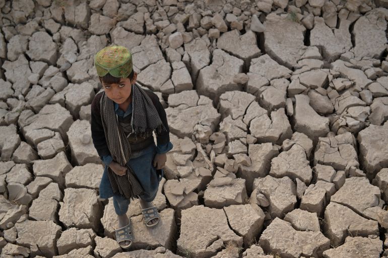 Drought in Afghanistan's Badghis province.