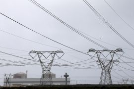 Electricity pylons carry power from Cape Town&#39;s Koeberg nuclear power plant on August 13, 2015 [File: Reuters/Mike Hutchings]
