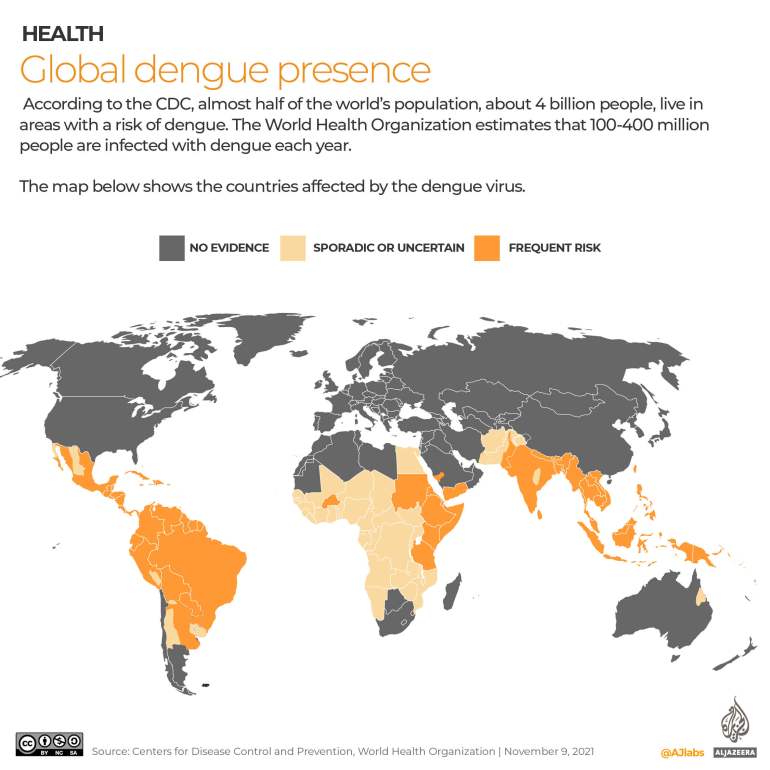 An overview of the world's locations where dengue is prevalent