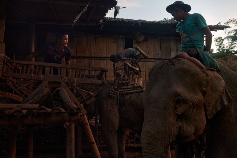Two elephants stop at a loading bay in Ti Wah Kah Tah, Mutraw district. Since the majority of the villages within Karen state are linked only by narrow jungle footpaths, elephants are used to transport heavier goods from one village to the next. [Al Jazeera] - DO NOT USE