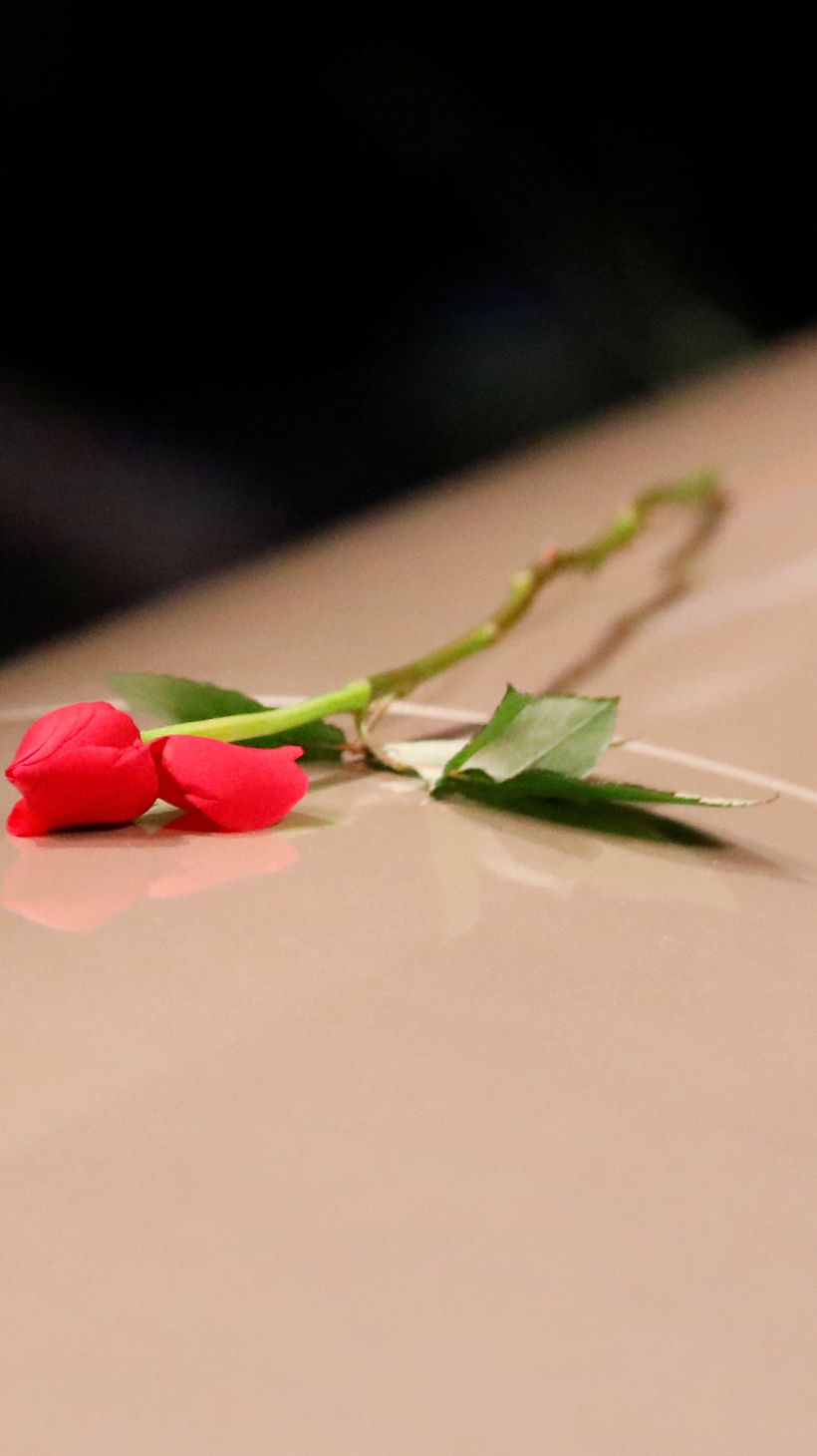 A flower is pictured on a casket during a funeral ceremony for mosque attack victims