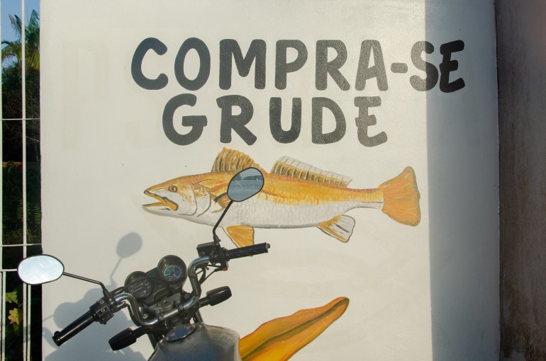 A painted sign showing a yellow croaker with the words: "We buy fish maw.” 