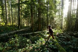 A woman walks through a forest land adjacent to Mount Rainier National Park in the state of Washington, US, which is part of a project to sell &#34;carbon credits&#34; to individuals and companies - including Microsoft Corp - who are hoping to offset their carbon footprints [File: AP/Ted S Warren]