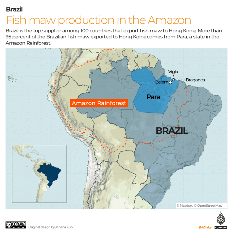 A map showing the Amazon rainforest