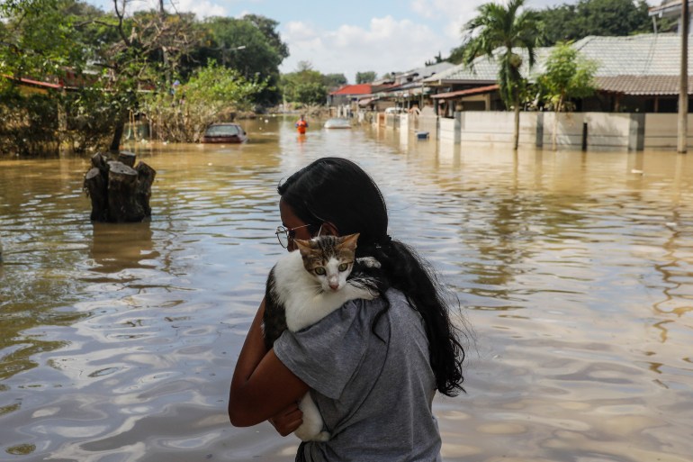 A woman carrying her tortoiseshell cat on her shoulder as she wades through milky brown floodwaters in the Malaysian city of Shah Alam