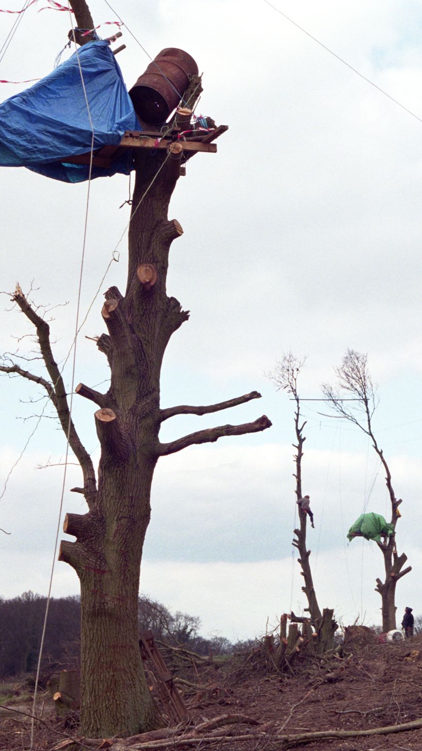 In Newbury in 1996 some trees remain before they are taken down