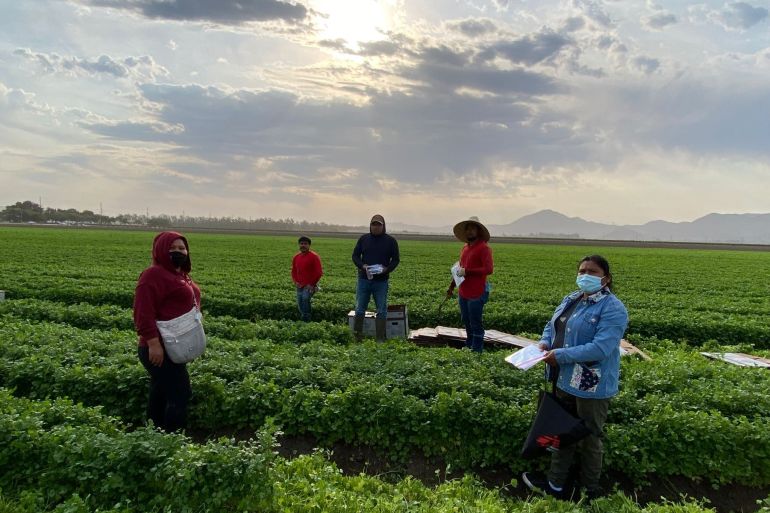 Advocates with MICOP speak with workers in Californiafields