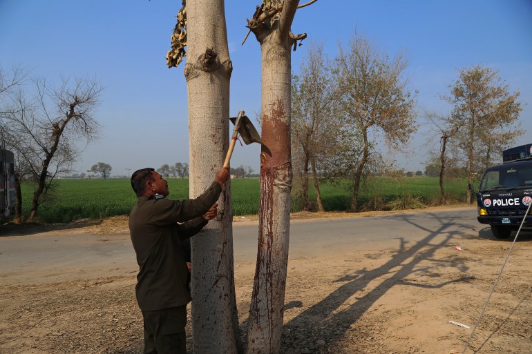A police officer takes a sample from a blood-stained tree