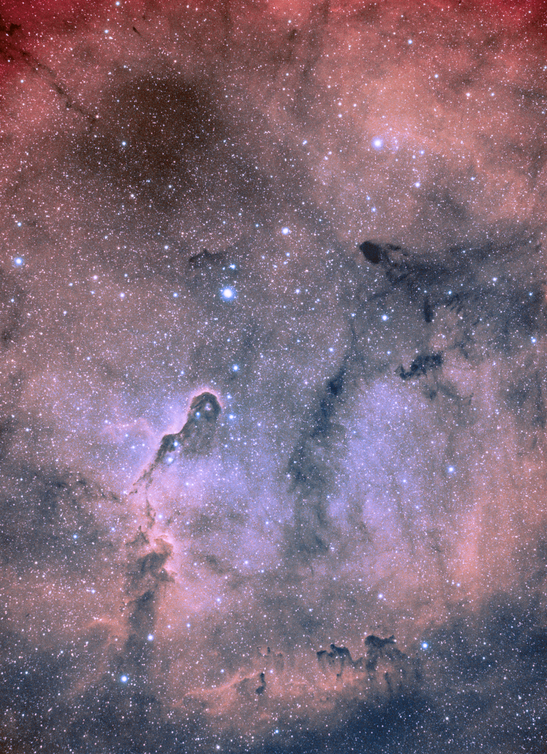 Photo of Elephant Trunk nebula