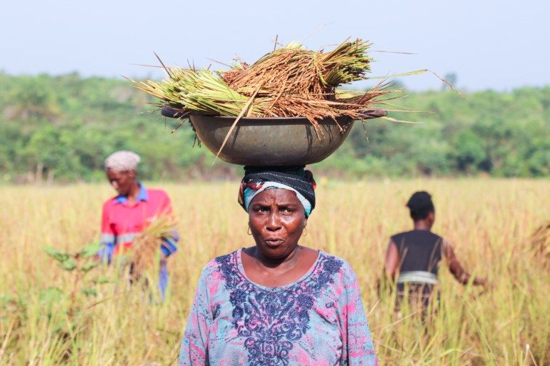 The women farmers in Matagelema