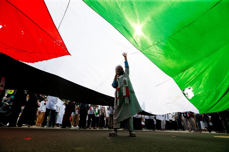 An Indonesian boy stande beneath a large Palestinian flag