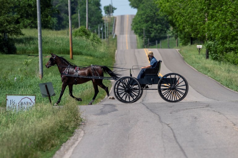 An Amish man travels by horse and buggy