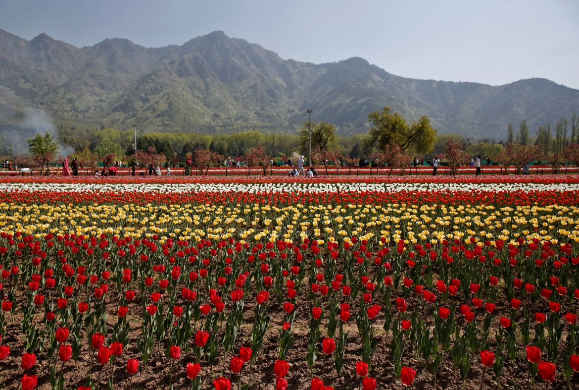 Visitors walk inside Kashmir's tulip garden